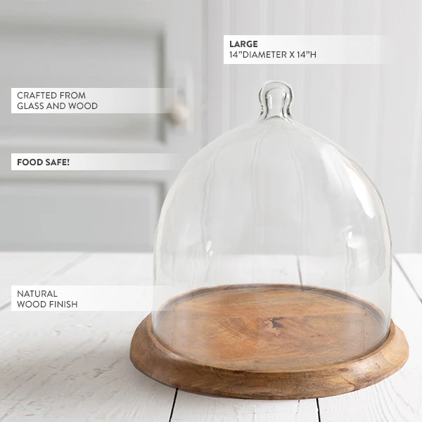 Large Glass Bell Shaped Cloche with Wood Base