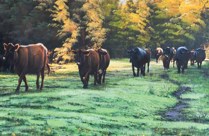St. Joseph's Cow Pasture Canvas Wall Art