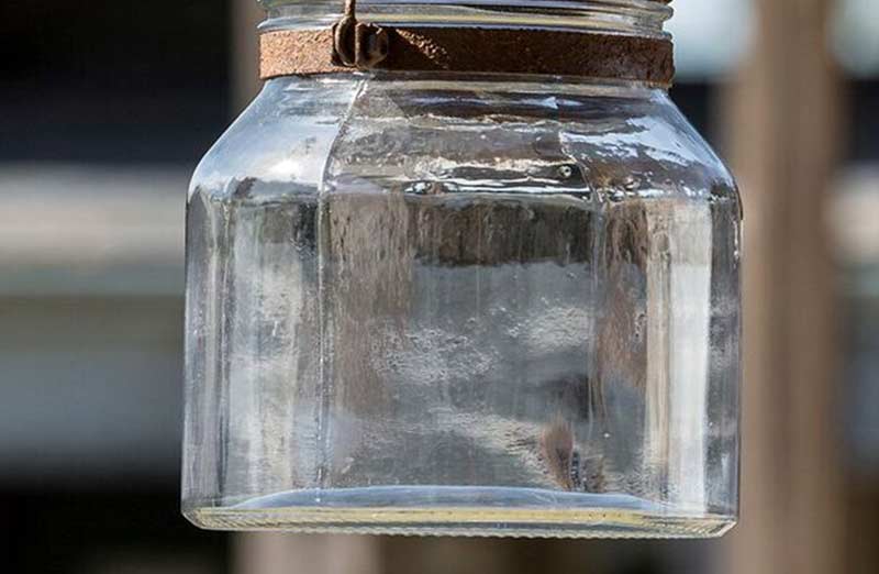 Hanging Lightening Bug Jar
