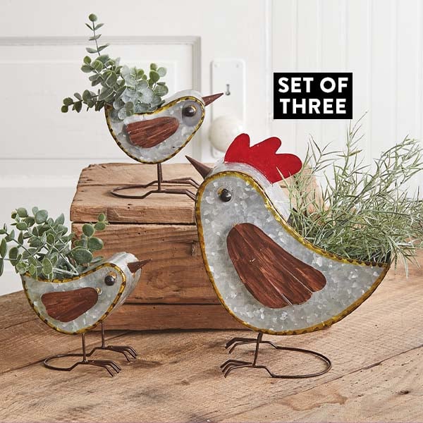 Mother Hen and Chicks Galvanized Caddies, Set of 3