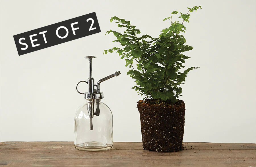 Vintage Inspired Glass Plant Misters, Set of 2