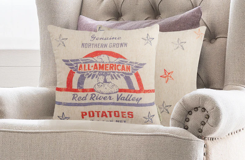 All American Throw Pillow