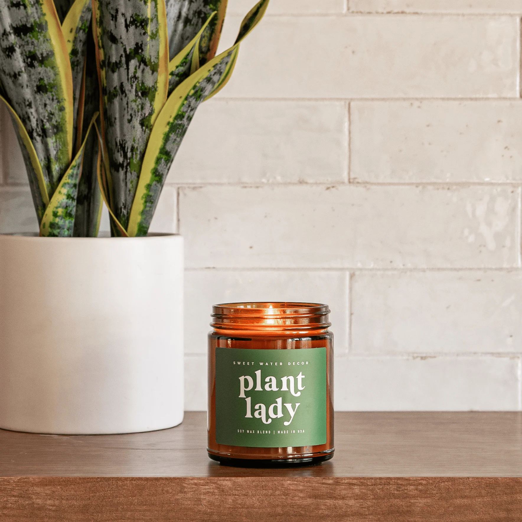 plant accessories