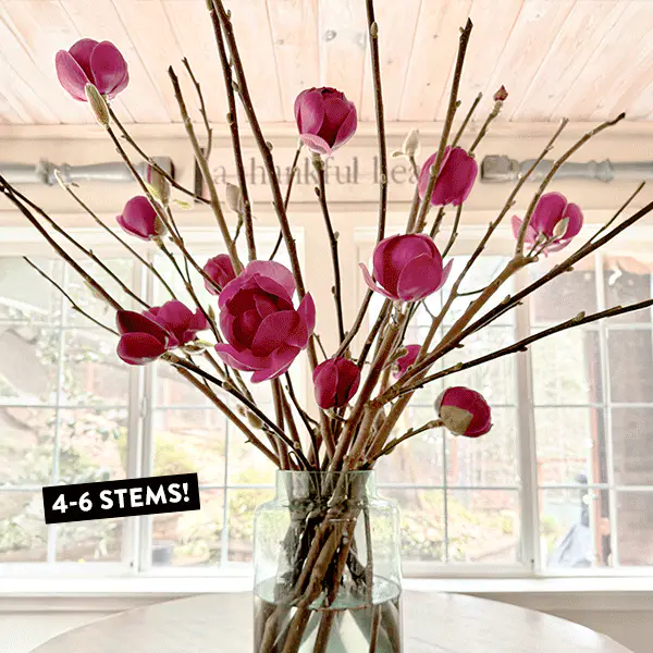3-4 Feet Live Tulip Magnolia Flower Tree Branches