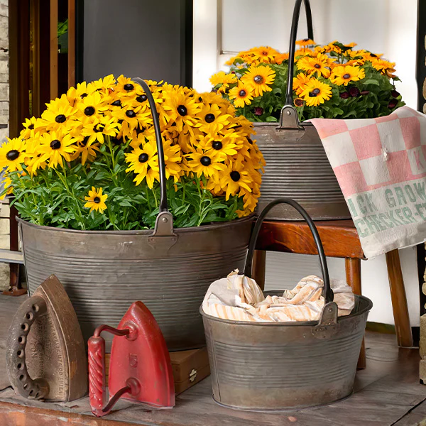 Distressed Round Buckets With Handles, Set of 3