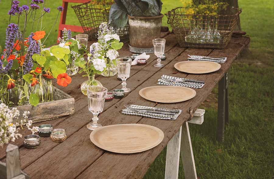 Areca Palm Plates, Set of 6