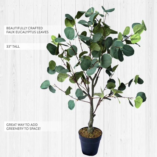 Steal It Box: Spring/Summer 2022 Edition- Eucalyptus Tree
