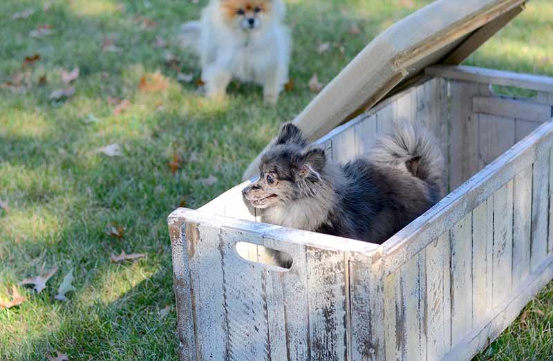 Collapsible Whitewashed Wooden Storage Bench
