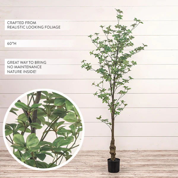 5 Feet Rhodoleia Faux Tree in Black Pot