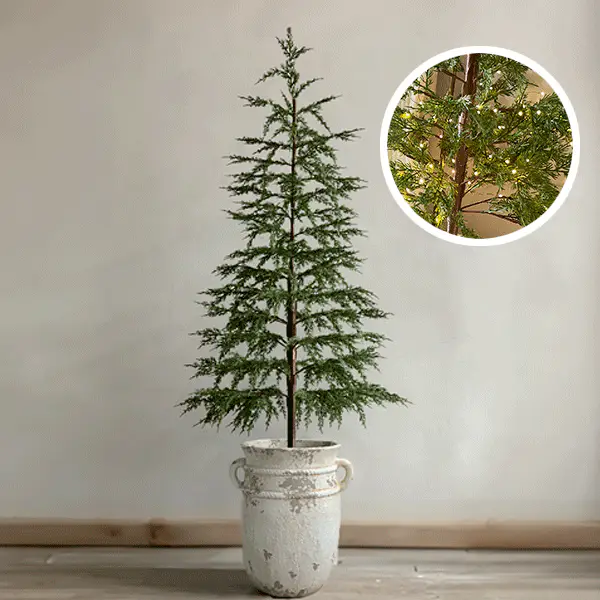 X-Large Wild Pine Pre-Lit Christmas Tree with Removable Pot