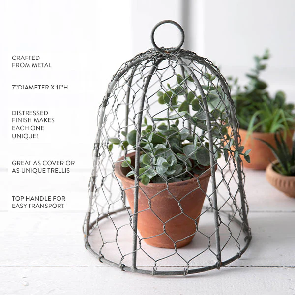 Chicken Wire 10 Inch Cloche