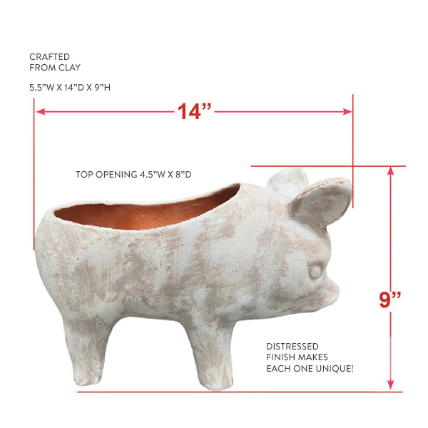 Clay Pig Planter Pot