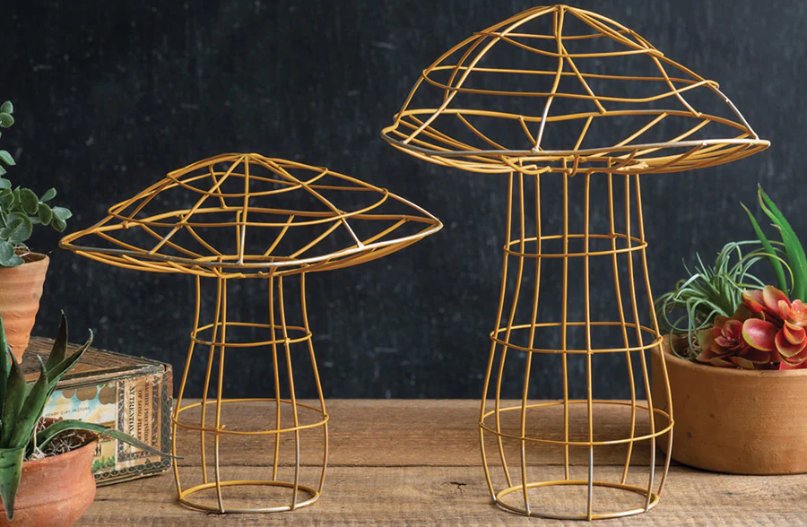Portobello Garden Mushrooms, Set of 2