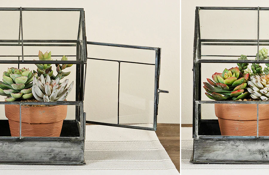 Terrarium Greenhouse Planter
