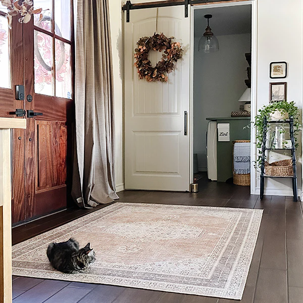 Terracotta Medallion Area Rug