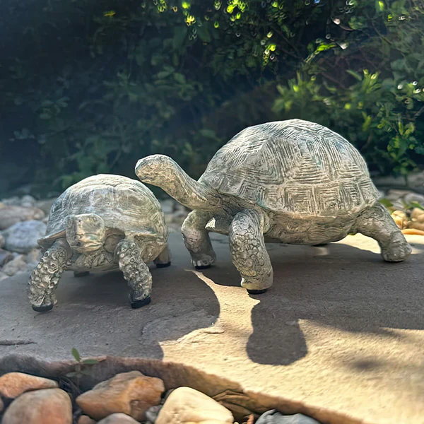 Curious Turtle Statues, Set of 2
