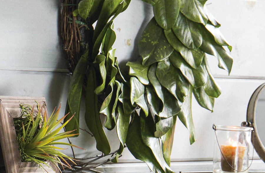 Preserved Magnolia Wreath