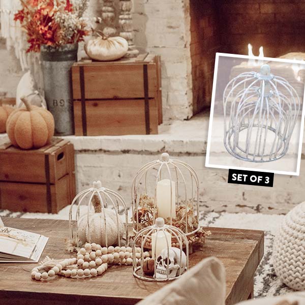 Cottage Cloche Topiaries, Set of 3