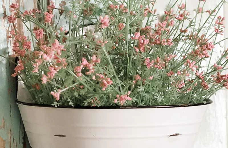 Harvest Wall Bin