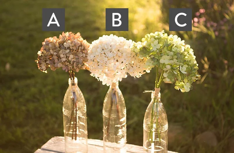 Lush Hydrangea Bundle  Set of 2