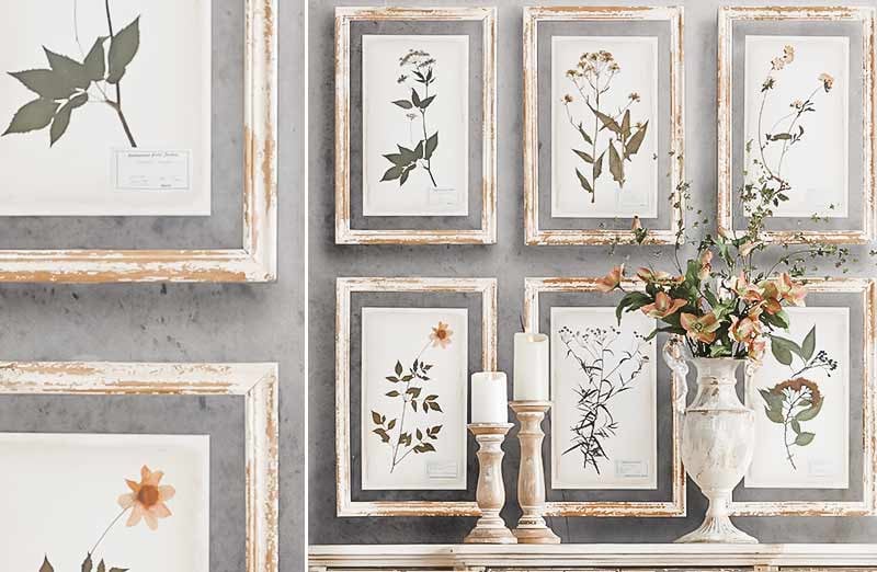 Wood Framed Pressed Flower Prints  Set of 6